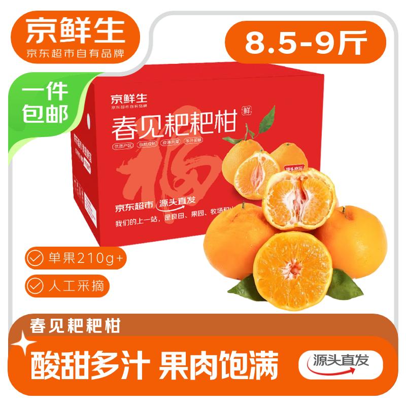 自营京鲜生 四川春见耙耙柑净重8.5-9斤 单果210g+