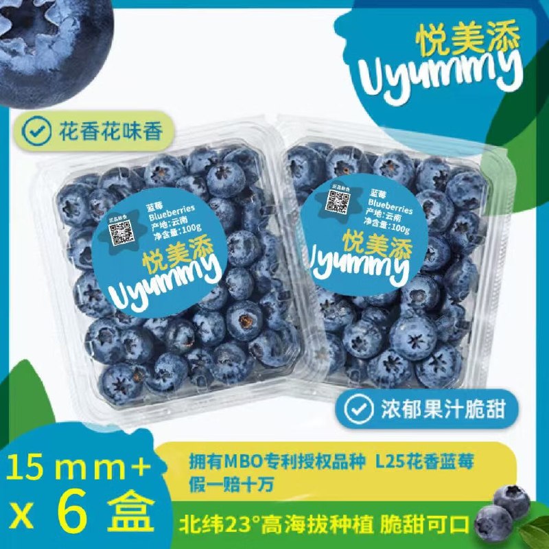 自营京鲜生&悦美添 花香蓝莓100g/盒*6盒 15mm+