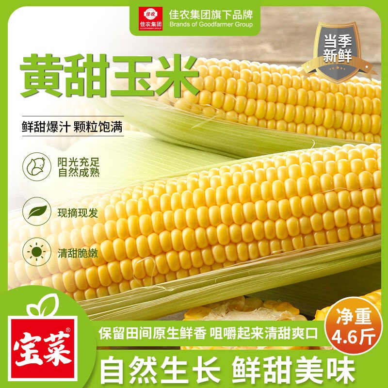 自营佳农 宝菜山东带皮水果玉米 净4.6斤