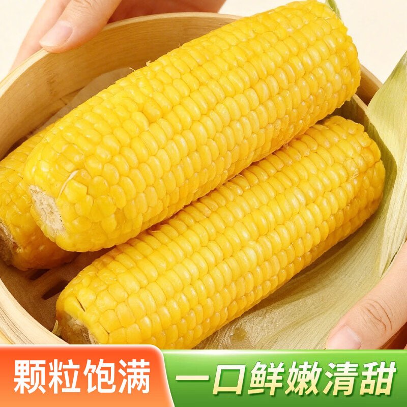 1.48/棒！佟创 东北黄糯玉米8棒拍下11.9元；单棒约180g