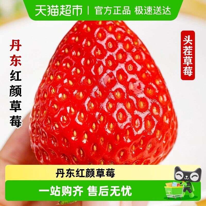 108.01元 猫超包邮丹东99草莓红颜奶油草莓九九当季新鲜：/